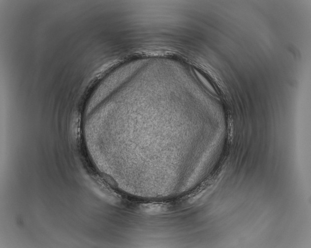 X0000111190356200907221114