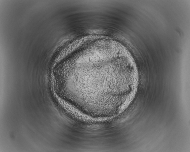 X0000111190357200907221114