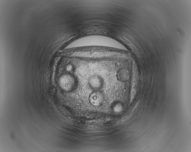 X0000111190359200907221114