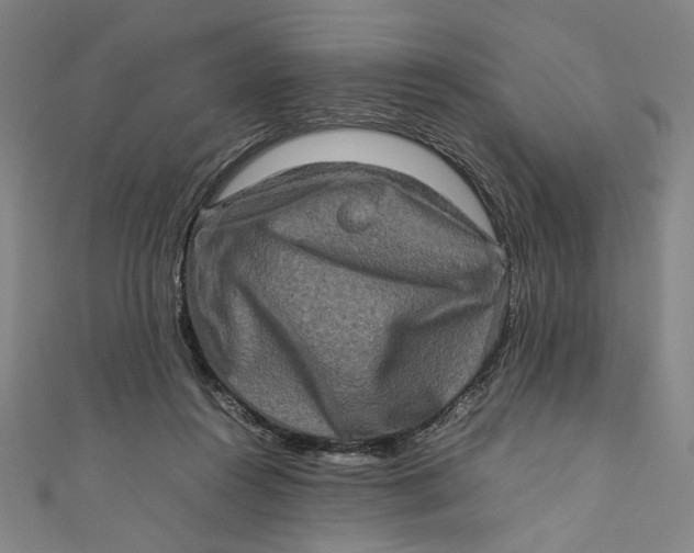 X0000111190360200907221114