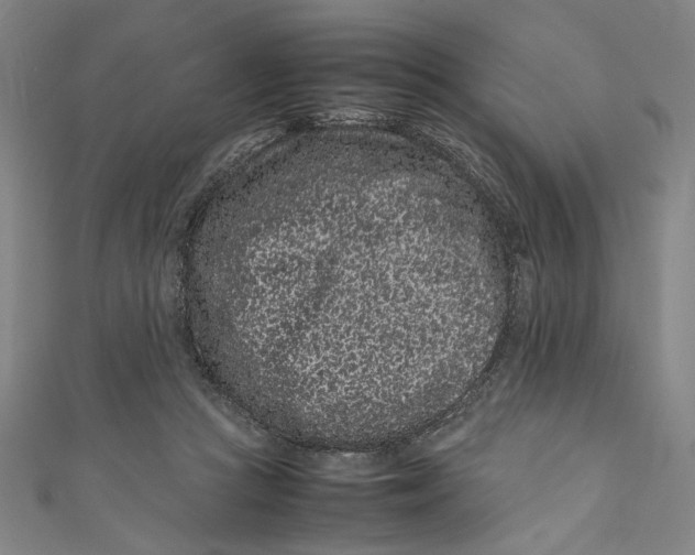 X0000111190361200907221114