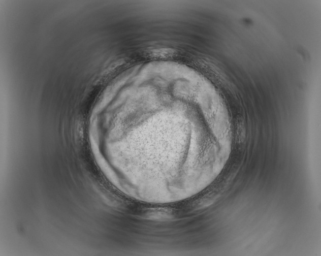 X0000111190363200907221114