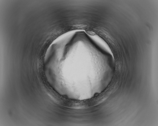 X0000111190365200907221114