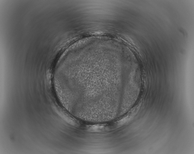 X0000111190366200907221114