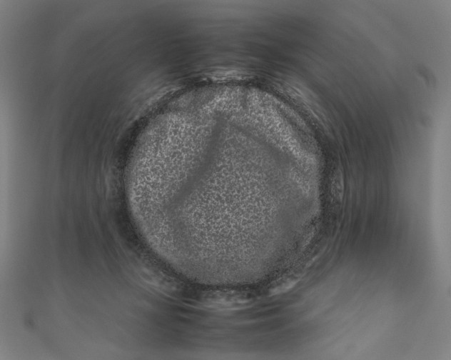 X0000111190367200907221114