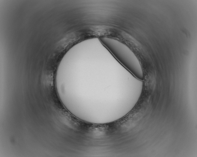 X0000111190368200907221114