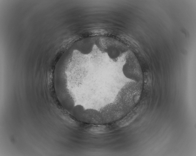 X0000111190369200907221114