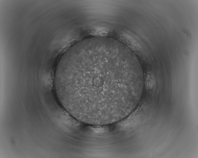 X0000111190370200907221114