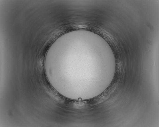 X0000111190373200907221114