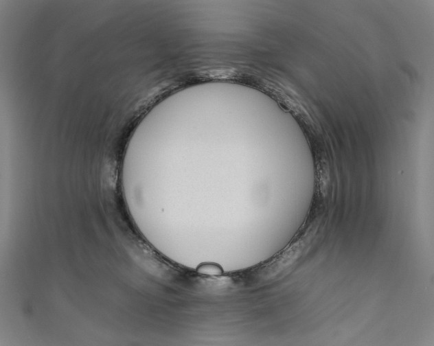 X0000111190374200907221114