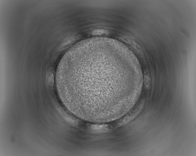 X0000111190375200907221114