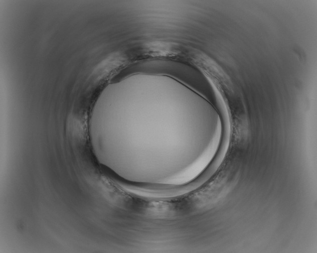 X0000111190376200907221114