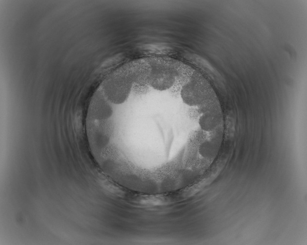 X0000111190377200907221114