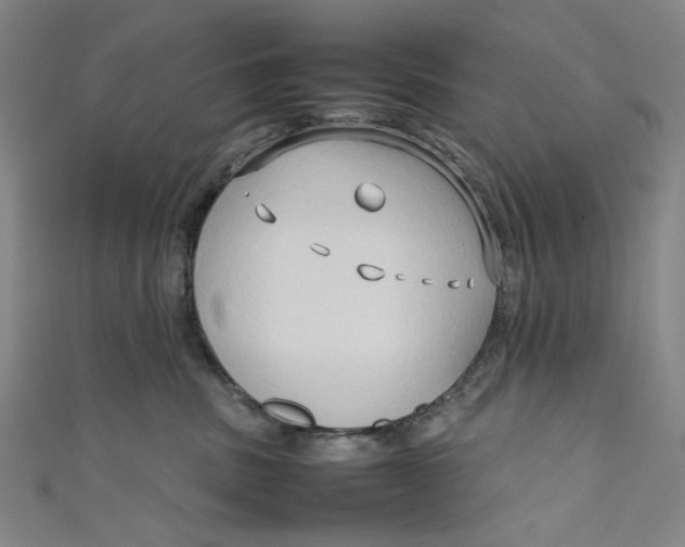 X0000111190379200907221114