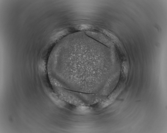 X0000111190380200907221114