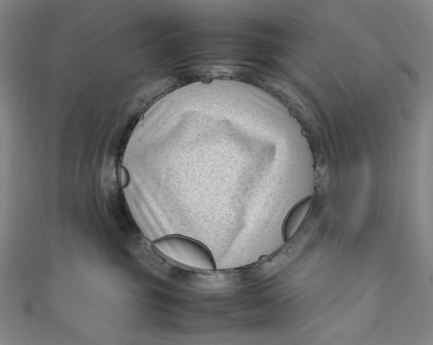 X0000111190381200907221114