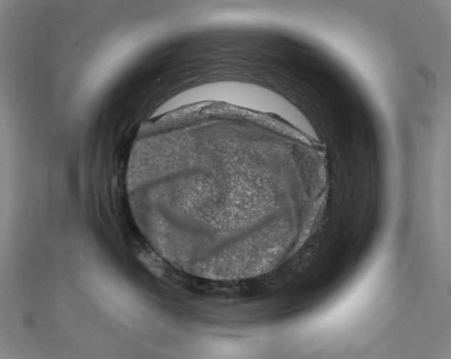 X0000111190382200907221114