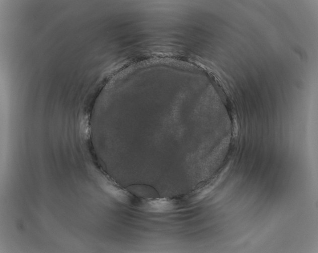 X0000111190383200907221114