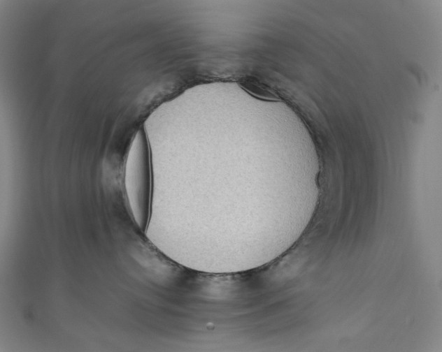 X0000111190384200907221114