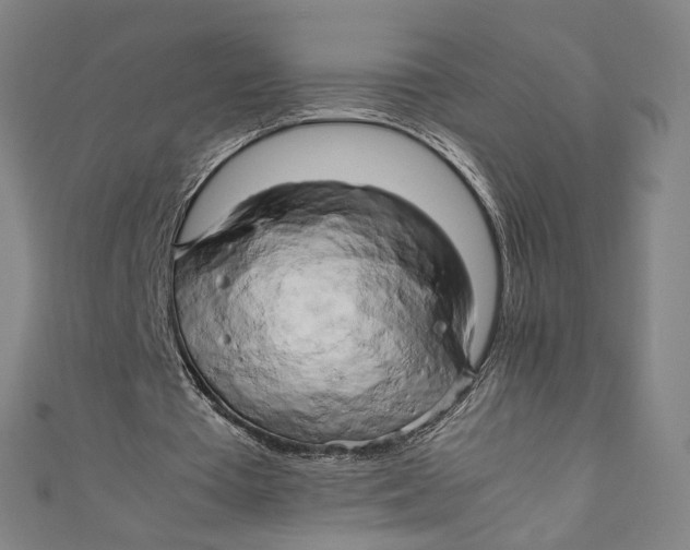 X0000111190385200907221113