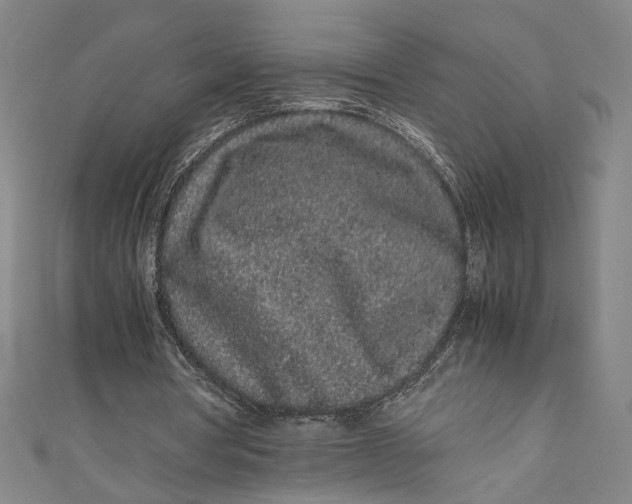 X0000111190386200907221113