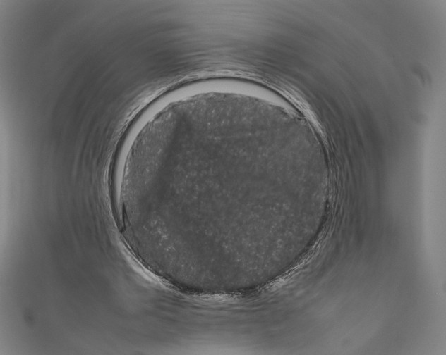 X0000111190389200907221113