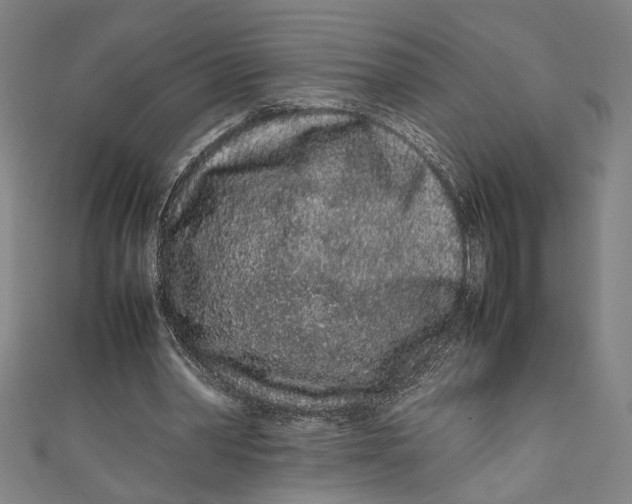 X0000111190390200907221113