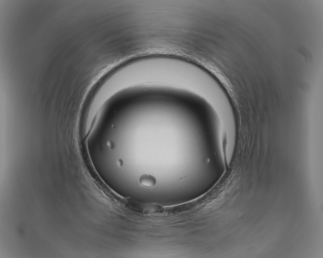 X0000111190391200907221113