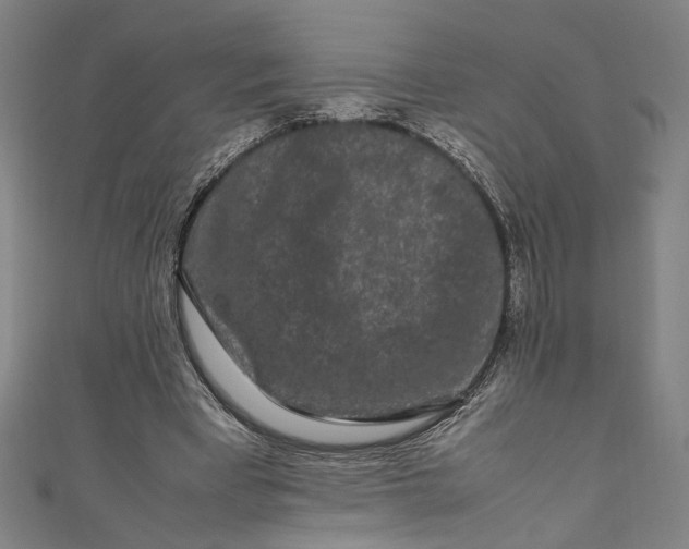 X0000111190393200907221113