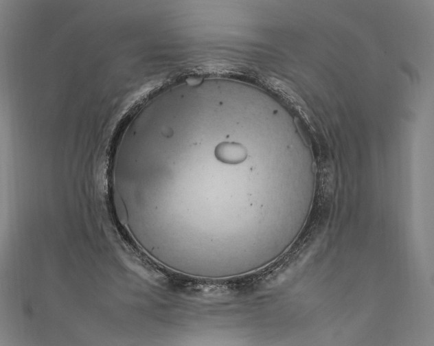 X0000111190395200907221113