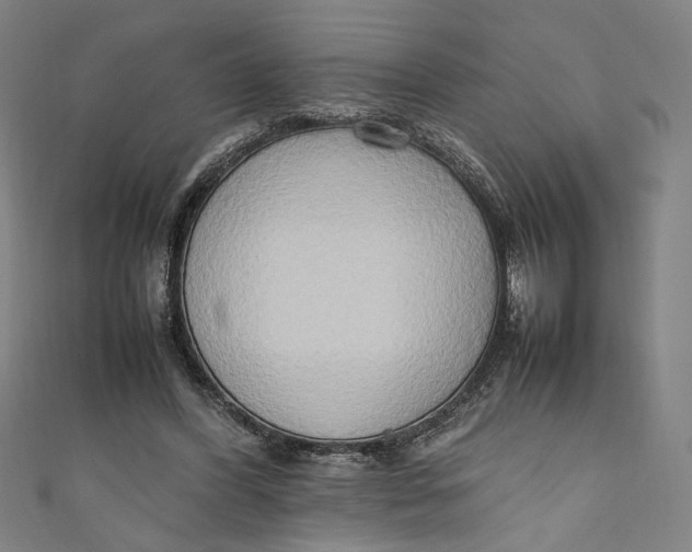 X0000111190396200907221113