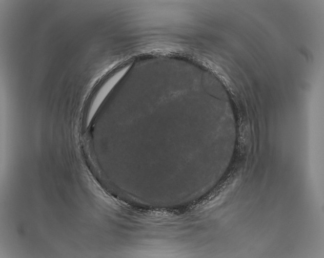 X0000111190399200907221113