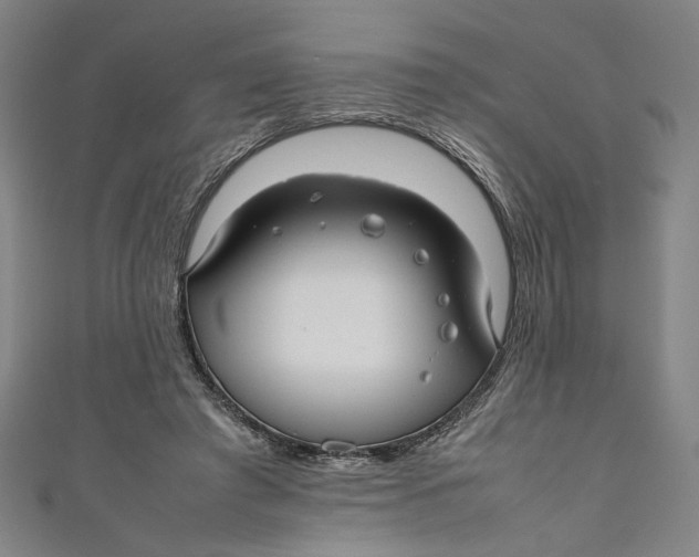 X0000111190401200907221113