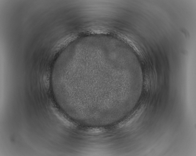 X0000111190402200907221113