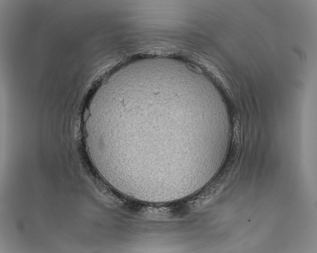 X0000111190403200907221113