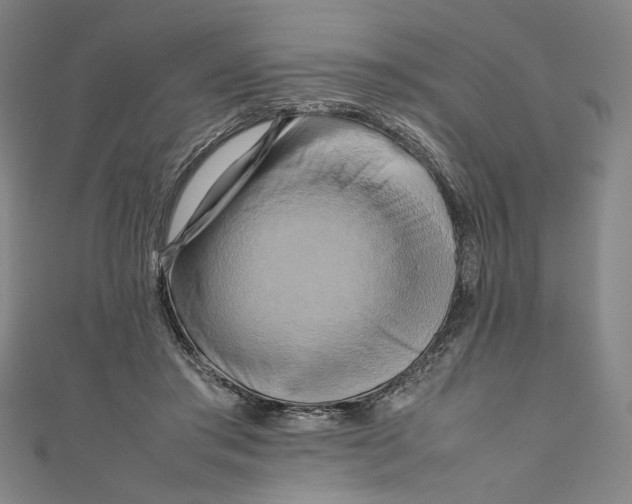 X0000111190405200907221113