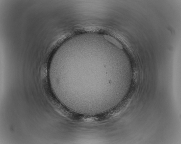 X0000111190407200907221113