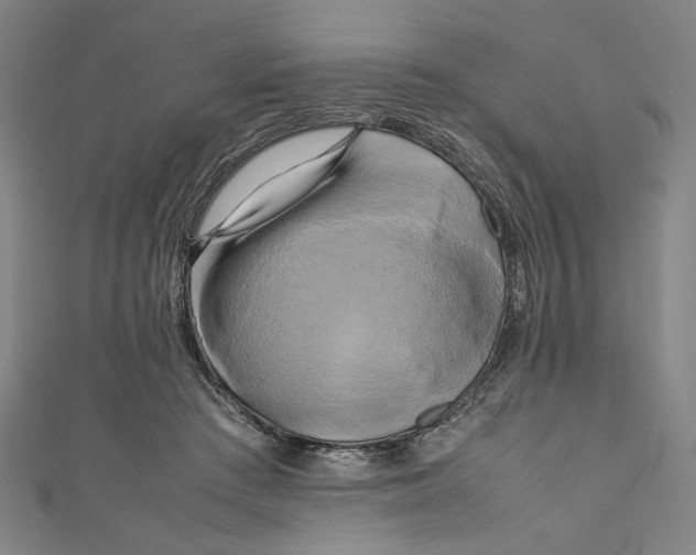 X0000111190409200907221113