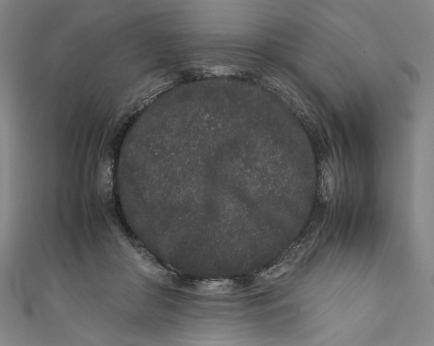 X0000111190410200907221113