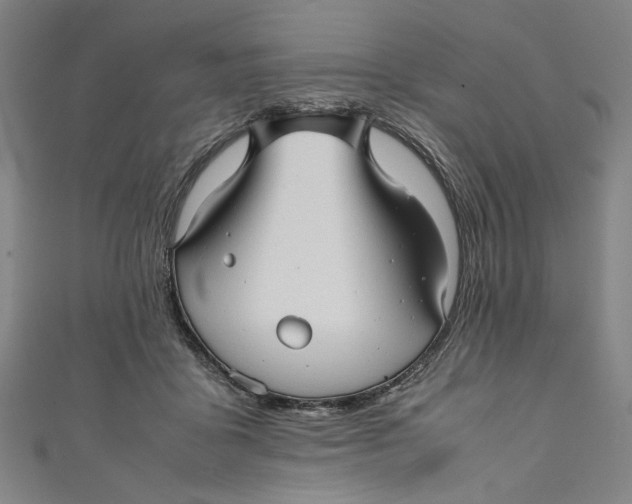 X0000111190411200907221113