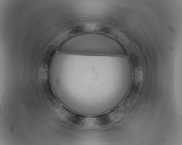 X0000111190413200907221113