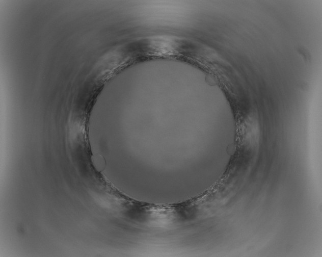 X0000111190415200907221113