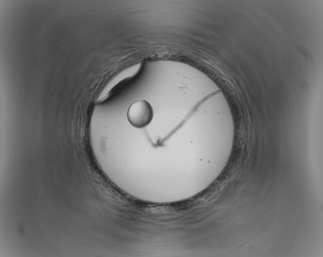 X0000111190417200907221113