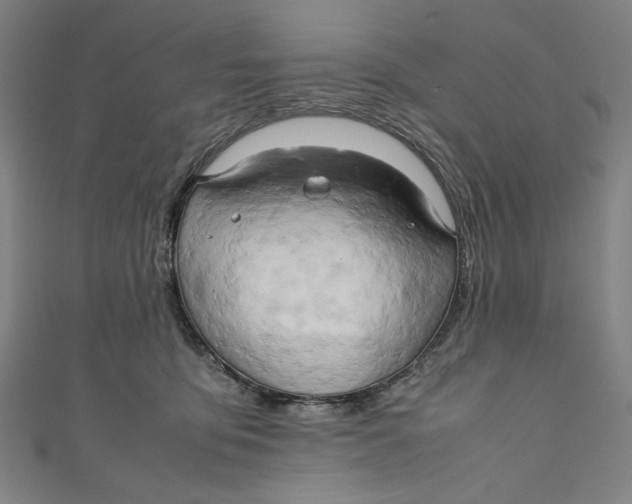 X0000111190419200907221113