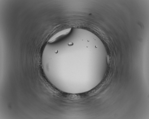 X0000111190421200907221113