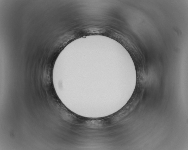 X0000111190422200907221113