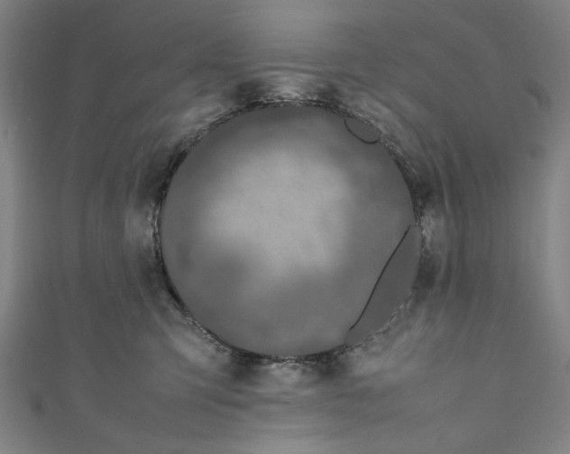 X0000111190423200907221113