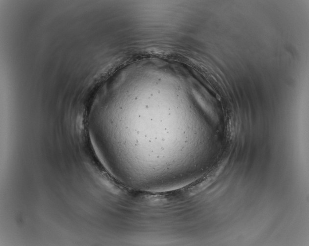 X0000111190424200907221113