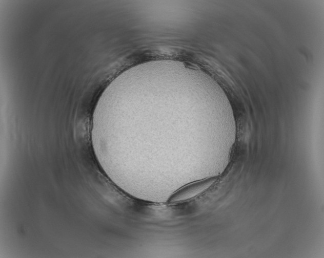 X0000111190425200907221113