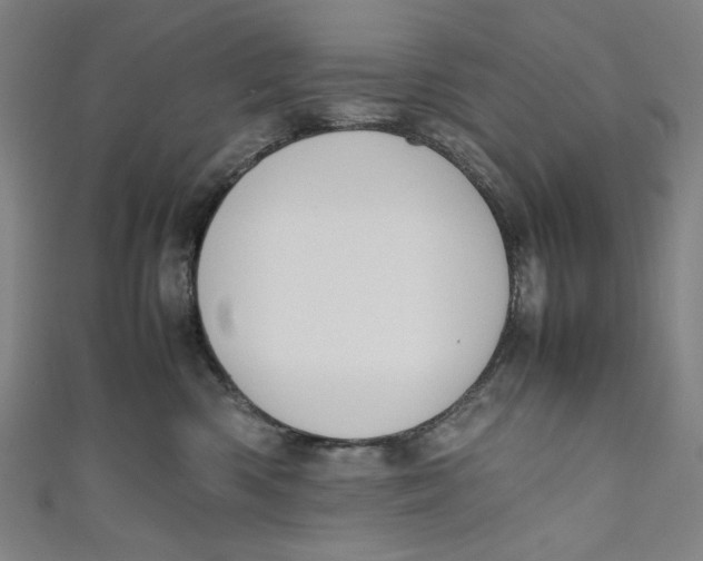 X0000111190426200907221113